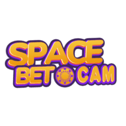 automatic sudoku solver
